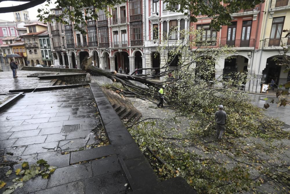 Las consecuencias de la tormenta en Avilés.