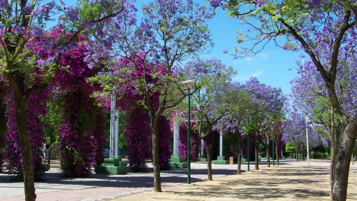Parque José Celestino Mutis, uno de los jardines botánicos más espectaculares de Sevilla