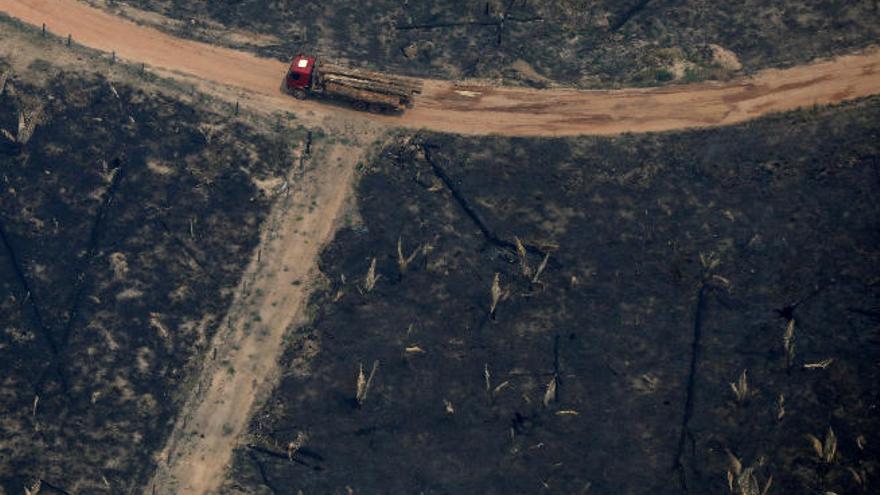 Daños provocados por uno de los múltiples incendios que ha sufrido el Amazonas en los últimos meses.