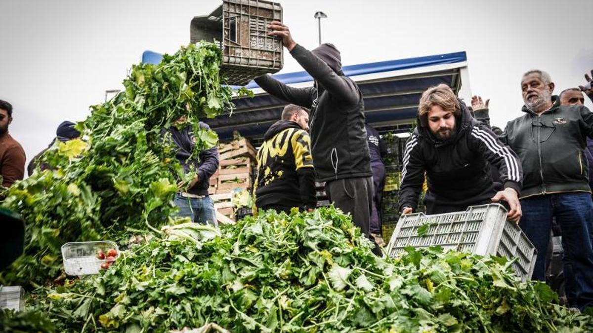 Los agricultores italianos continúan protestando contra lo que dicen que es perjudicial para la agricultura europea políticas, haciéndose eco de manifestaciones en otras partes de Europa, incluidas Alemania, Bélgica y Francia.