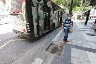 Zaragoza tiene más de 4.900 alcorques vacíos en sus calles