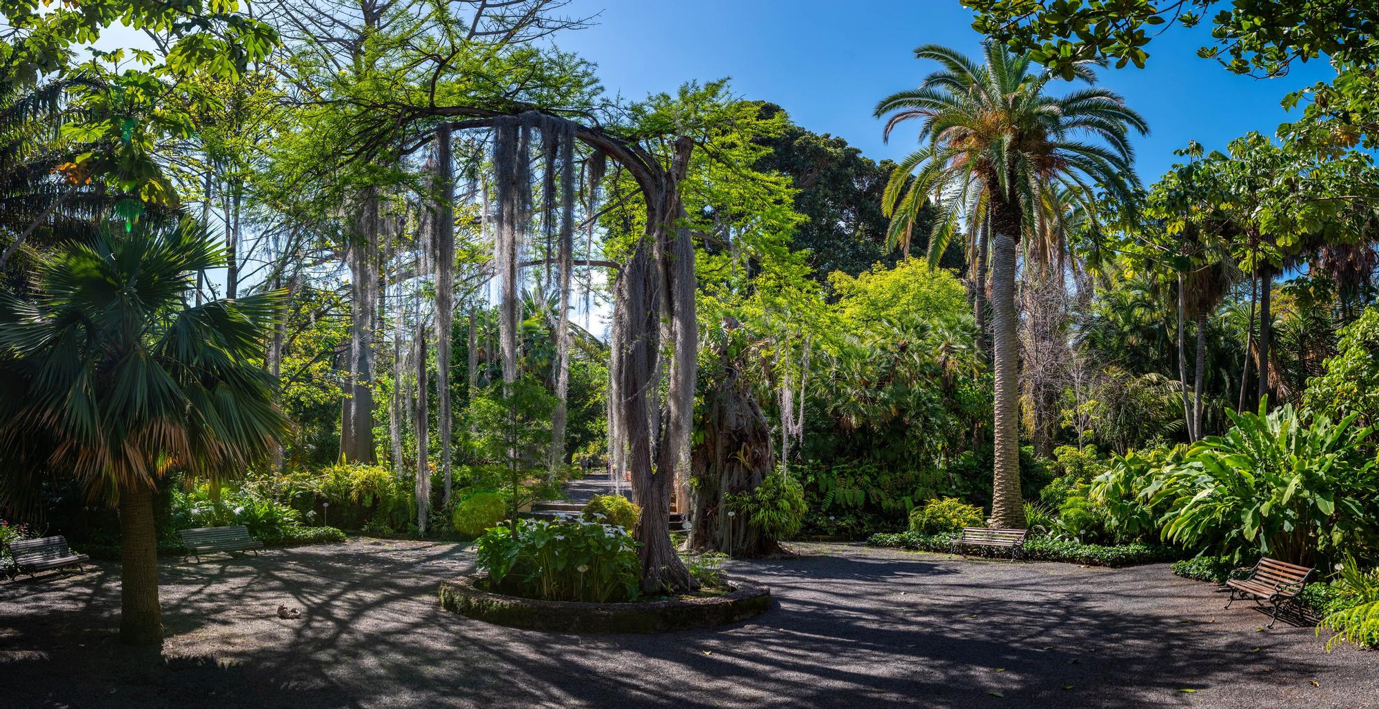 Reapertura Jardín Botánico