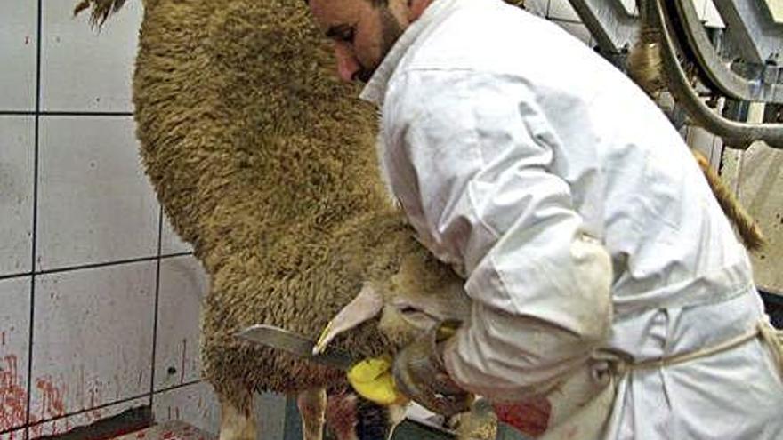 La Festa del Xai a Figueres, en una imatge d&#039;arxiu.