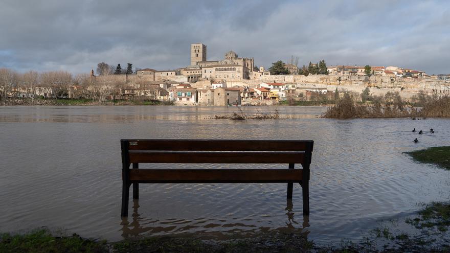 El Duero alcanza un caudal de 800 metros cúbicos por segundo y deja estampas pasadas por agua en Zamora