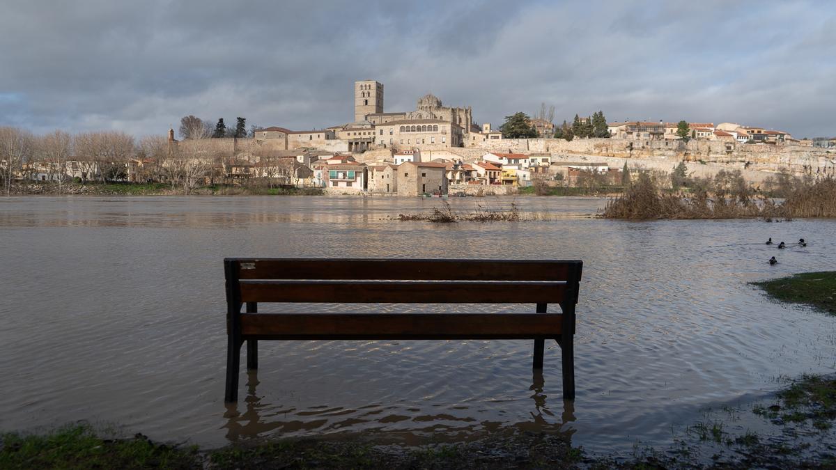 GALERÍA | El río Duero se explaya a su llegada a Zamora