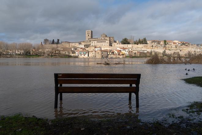 GALERÍA | El río Duero se explaya a su llegada a Zamora