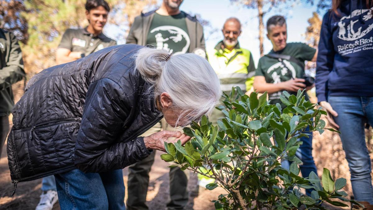 Jane Goodall visita distintos lugares en Tenerife