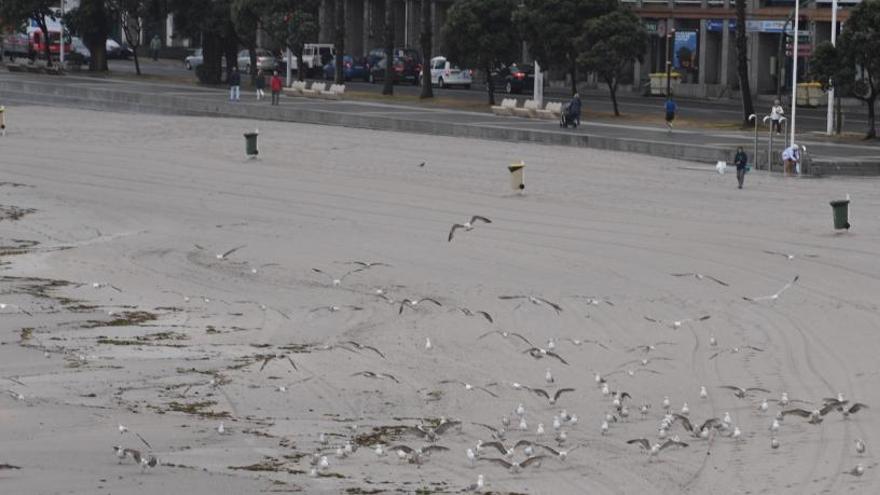 Vista de la playa de Riazor y el paseo, hoy.