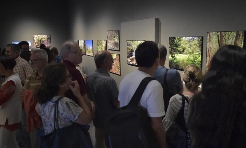 Presentación de libro y exposición sobre la lauris