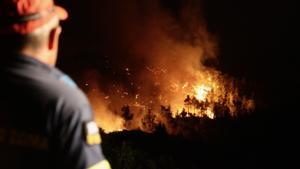 23 July 2023, Greece, Rhodes Island: A firefighter tries to put out a wildfire in Asklipio village, on Rhodes Island. Large fires have broken out on the Greek islands of Rhodes and Corfu and in numerous other regions of Greece, which has been suffering a