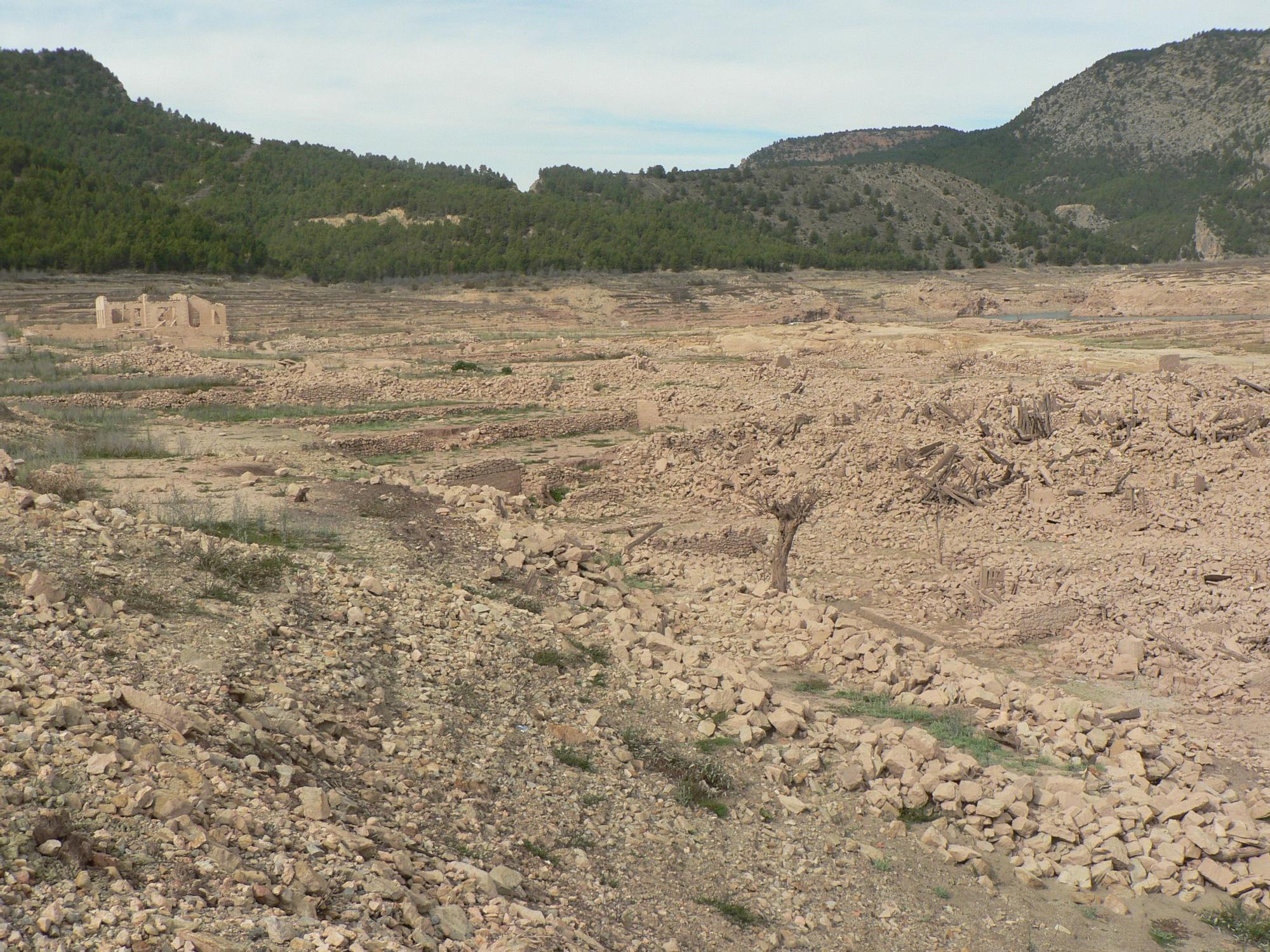 Campos de Arenoso-Puebla de Arenoso Ferran Montenegro2.jpg