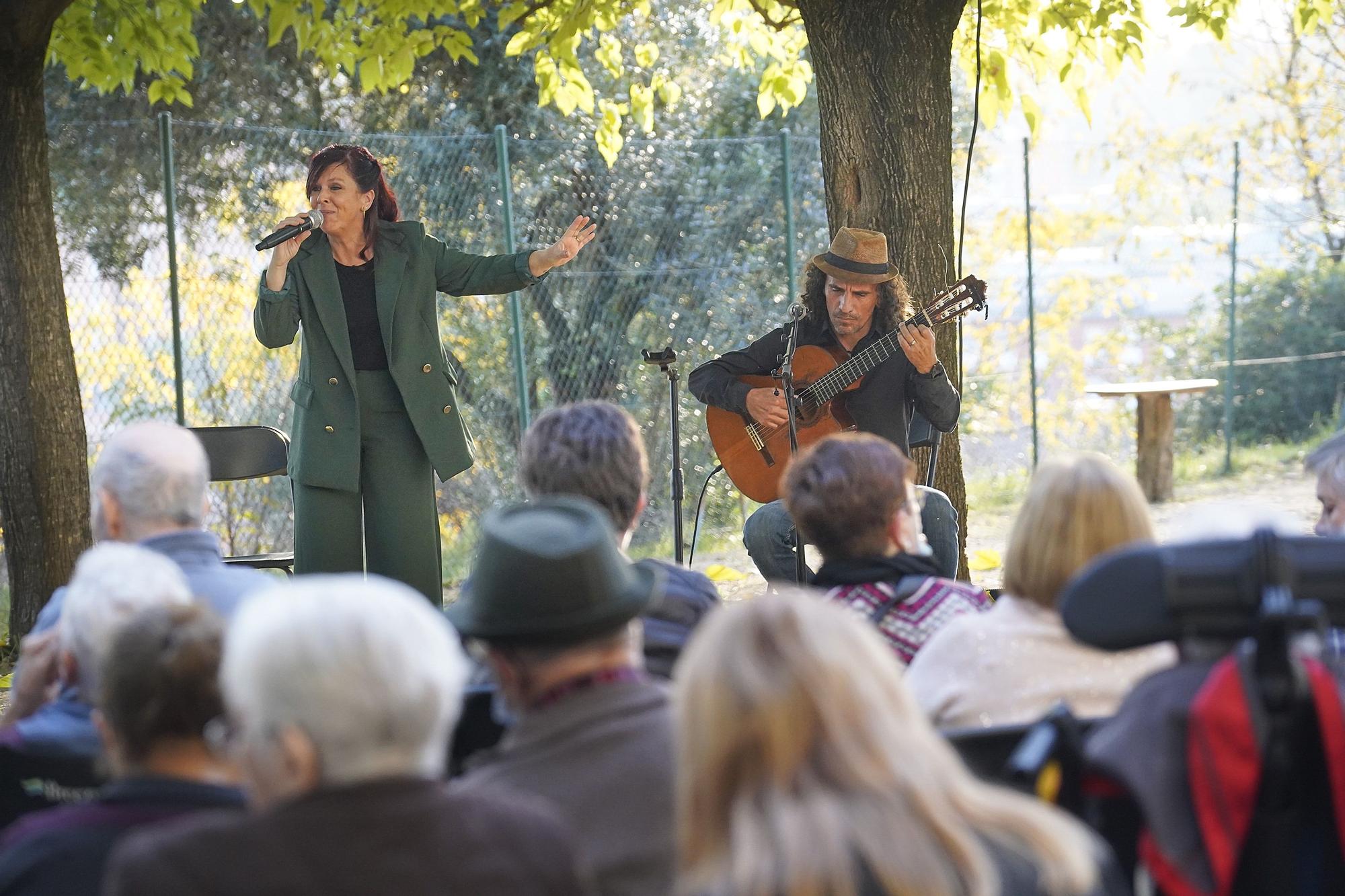 Concerts a Cegues a Puig d'en Roca
