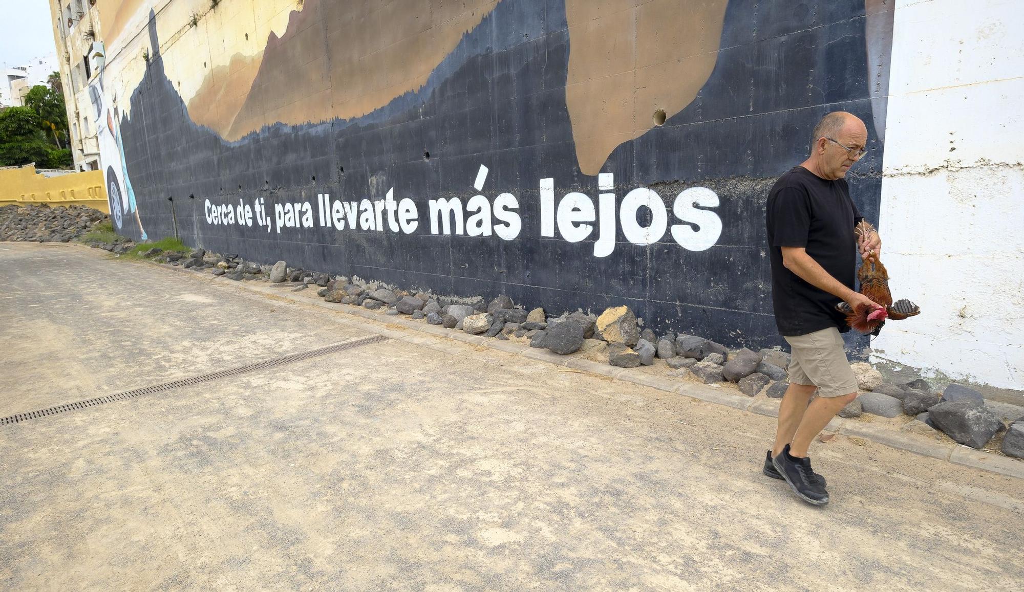 El Ayuntamiento retira los gallos de La Paterna tras varias quejas vecinales y antes de aplicar la desratización