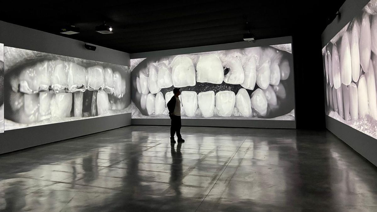 FOTOGALERÍA | La muestra Santiago Sierra en el Museo Helga de Alvear, en imágenes