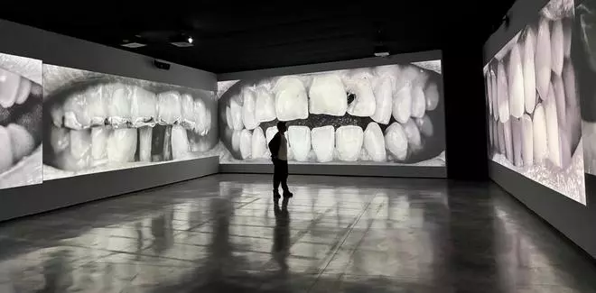 FOTOGALERÍA | La muestra Santiago Sierra en el Museo Helga de Alvear, en imágenes