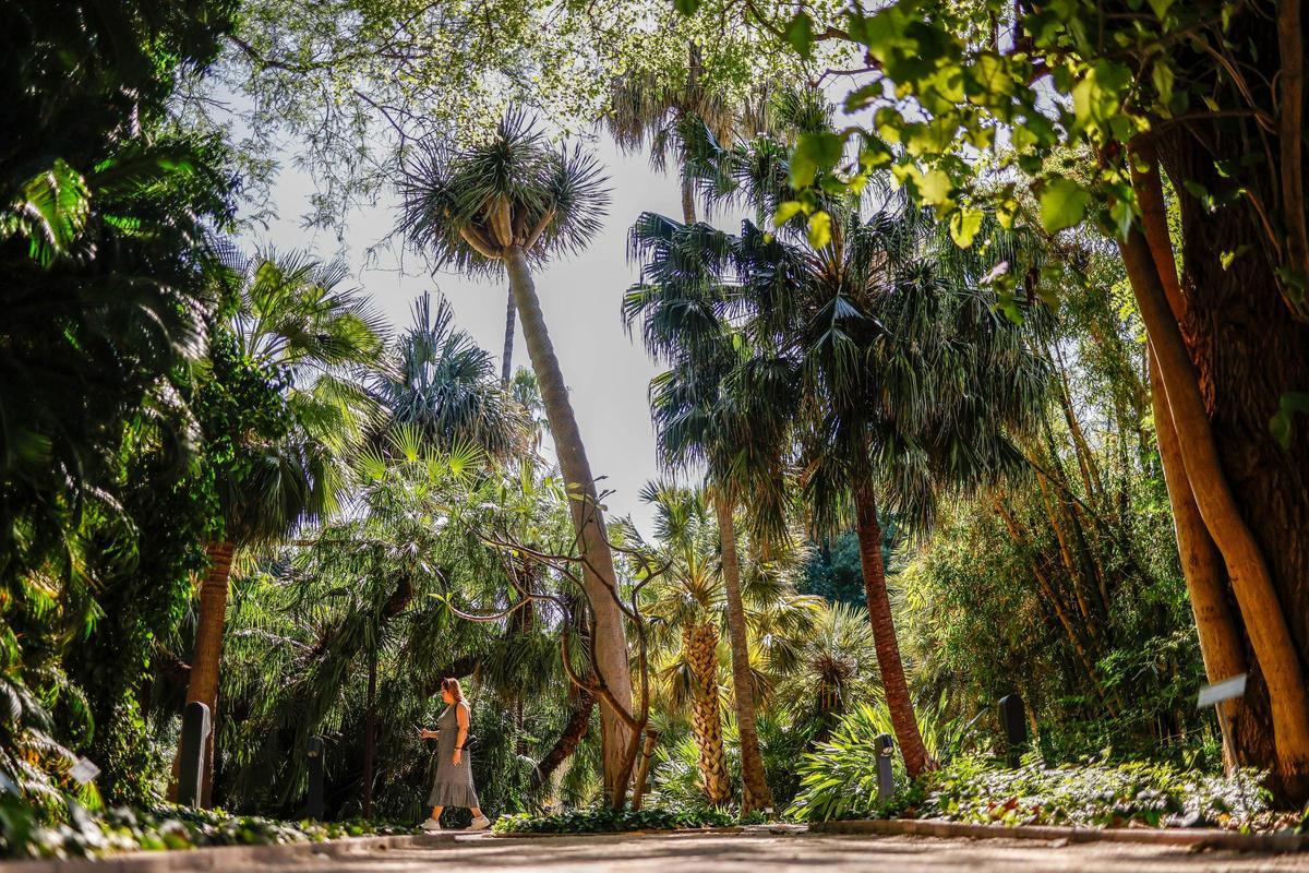 El Jardín Botánico de València está de moda