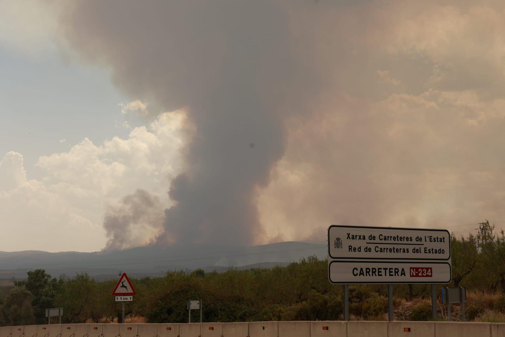 El incendio de Bejís, en imágenes