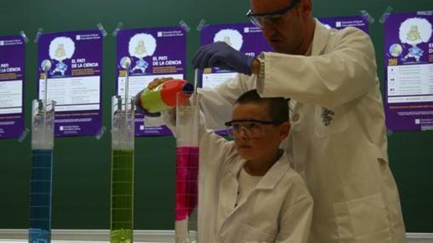 Investigación en la Universidad de Alicante