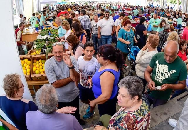 II Feria del Aguacate en Arguineguín