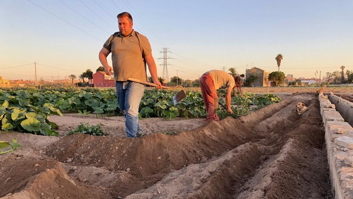 Ximo Herrero, agricultor de Guadassuar, en una imagen de archivo en uno de sus campos, que resultaron afectados por la dana del 29-O.