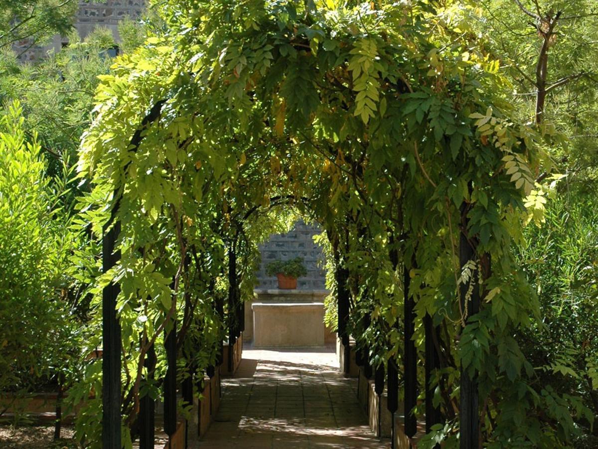 Como homenaje a la pasión por la naturaleza y las flores que mostró toda su vida, en la sede del IEC se encuentra el jardín Mercè Rodoreda, un espacio único que contiene una muestra de algunas de las flores y plantas que se citan de manera recurrente en su obra.