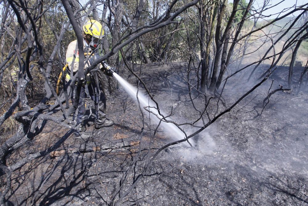 incendi forestal a Llagostera i tall de la carretera