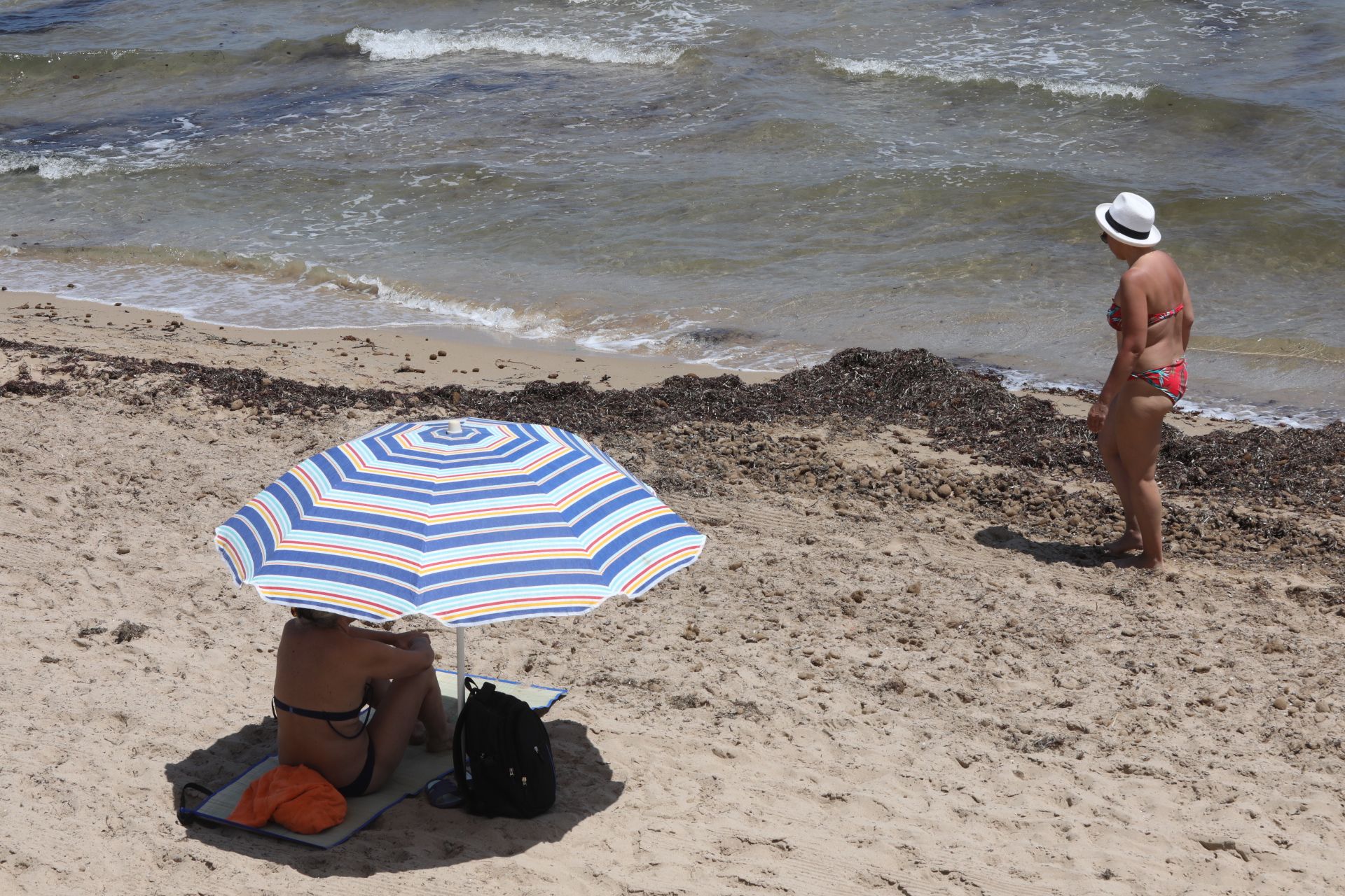 Invasión de algas en Arenales