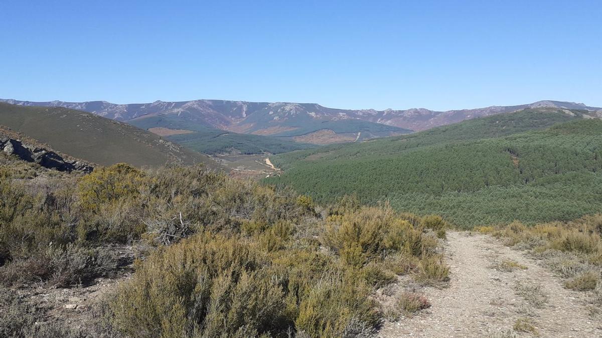 Paisaje afectado por la futura instalación. | Cedida