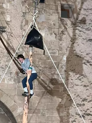 En directo | El Pi de Sant Antoni de Pollença se rompe por arriba y por abajo y Joan Rebassa lo corona rápidamente