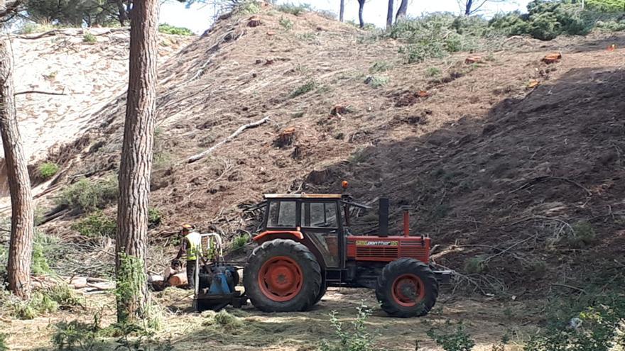 Salvem la Platja de Pals denuncia que l&#039;Ajuntament permeti destrossar una duna única a Catalunya per edificar-hi