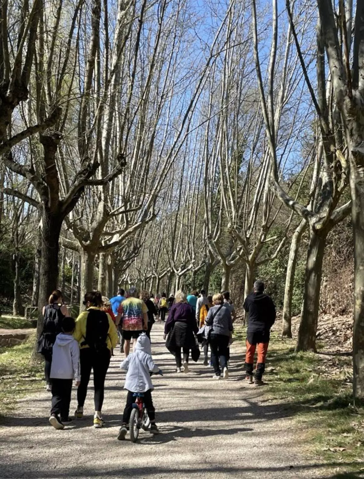 Solsona i Sant Llorenç acolliran dues caminades pel Dia Mundial de l’Activitat Física