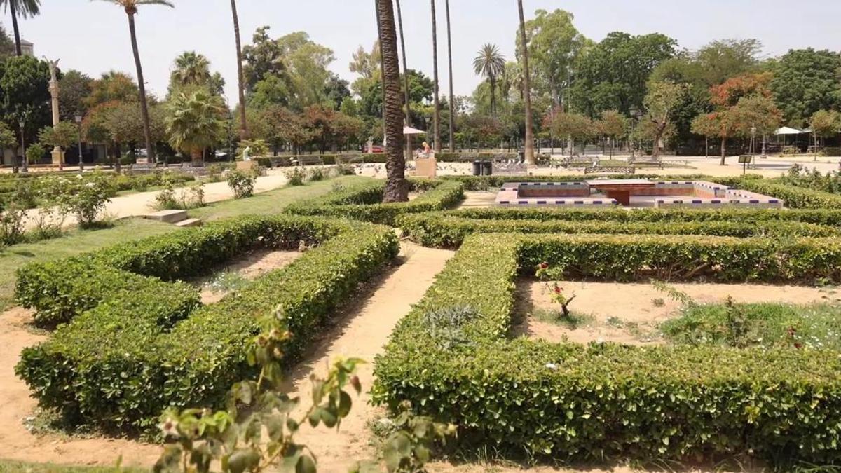 Los setos a restaurar en la Plaza de América del Parque María Luisa en Sevilla.