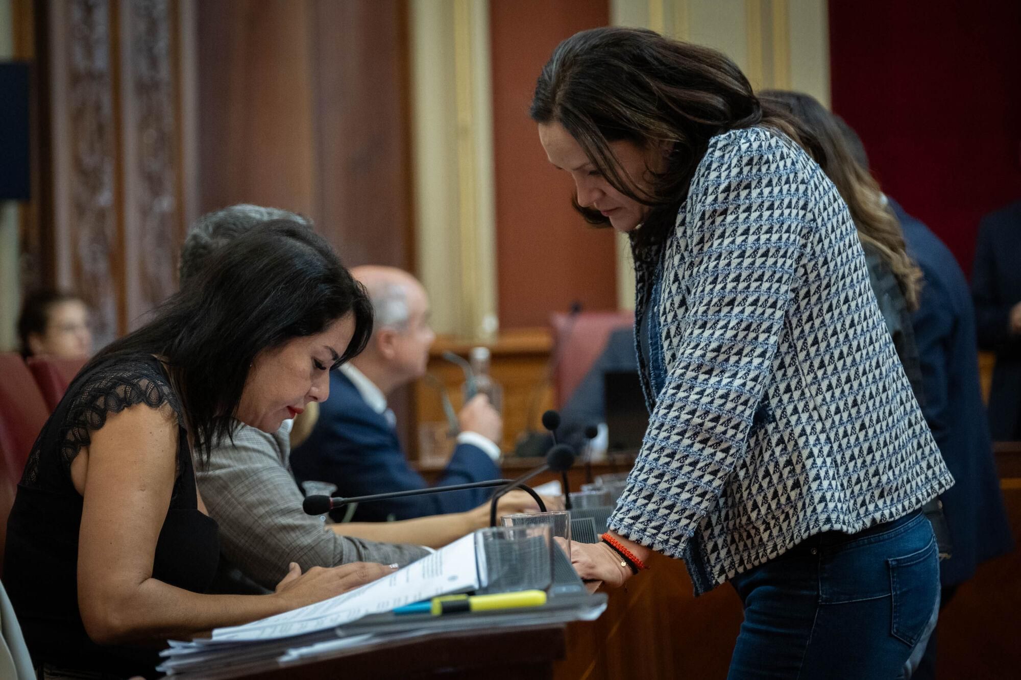 Pleno del Ayuntamiento de Santa Cruz 