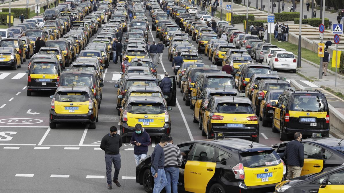 Taxis en la avenida de Maria Cristina de Barcelona antes de empezar su marcha lenta contra la vuelta de Uber a Barcelona