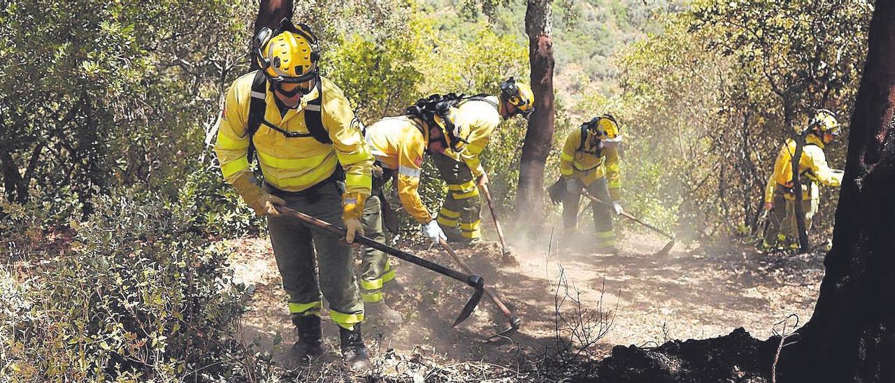 Trabajos en una de las zonas incendiadas el pasado verano.