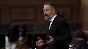 Vox descol·loca la dreta amb el seu pla antiburca però fracassa al Congrés