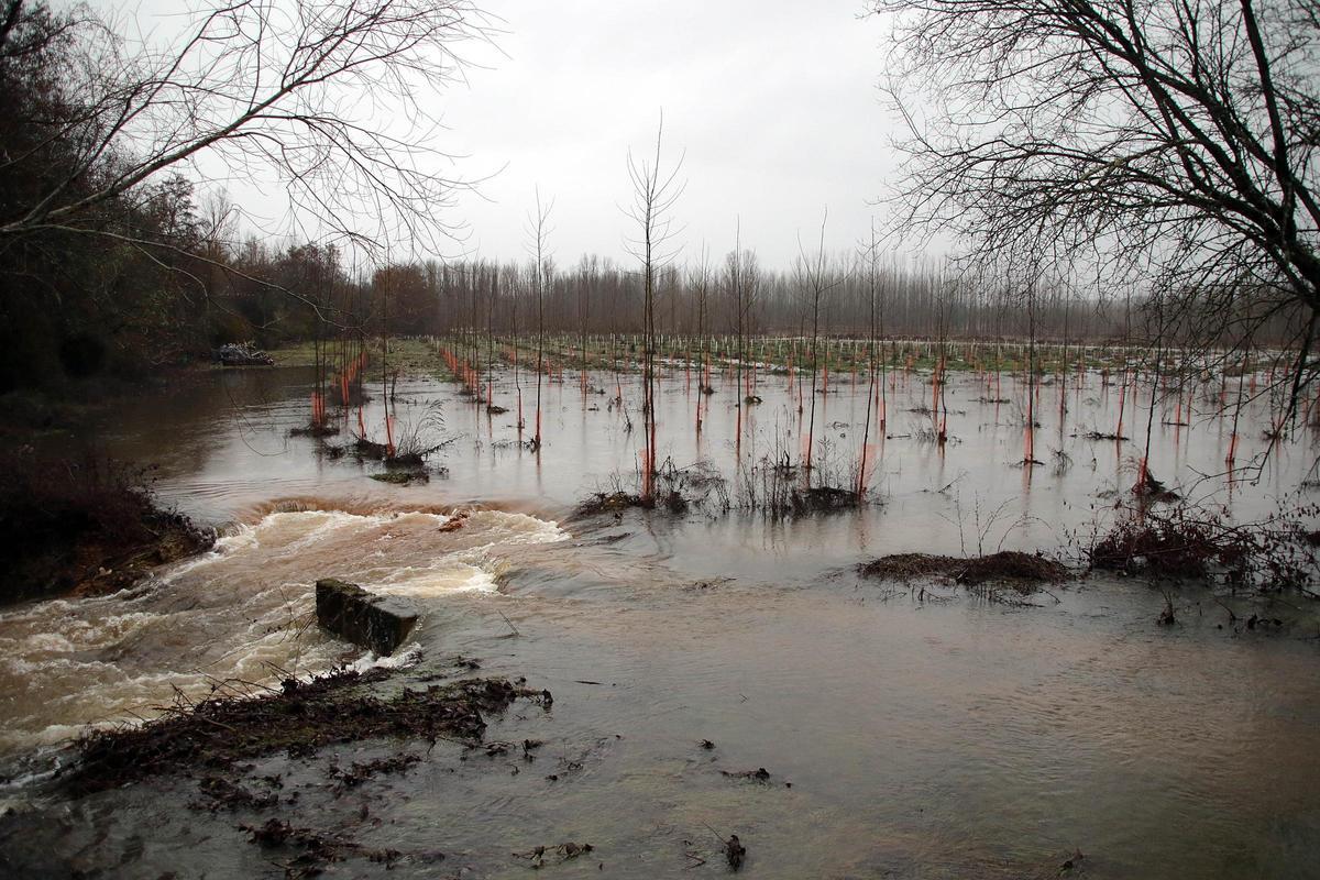 Imagen del río Tuerto, en León, desbordado.