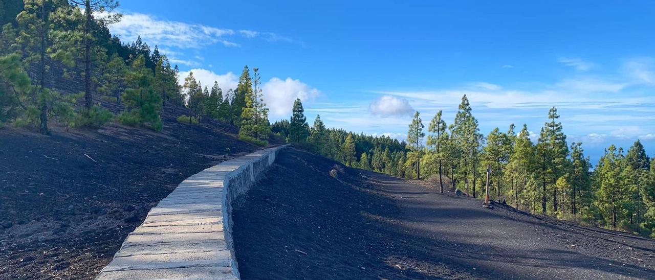 Canal de Vergara, que transporte el agua por los municipios del norte de Tenerife.