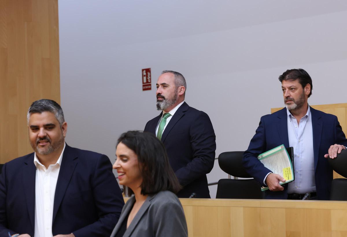 De izquierda a derecha. Los diputados provinciales socialistas Josele González y Desirée Flores, y los de Vox, Antonio José Luna y Francisco José Garrido