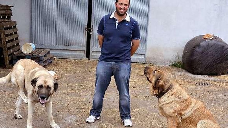 El ganadero, con dos mastines, en una de las fincas de la familia.