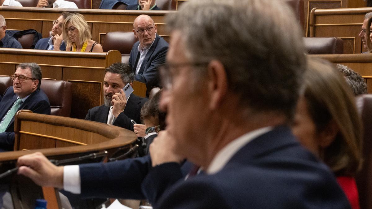 El líder de Vox, Santiago Abascal, habla por teléfono durante un pleno extraordinario en el Congreso. En primer plano, Alberto Núñez Feijóo.