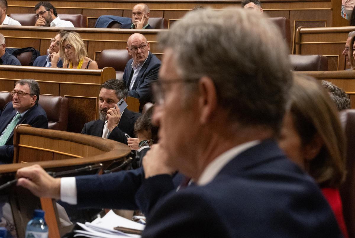 El líder de Vox, Santiago Abascal, habla por teléfono durante un pleno extraordinario en el Congreso. En primer plano, Alberto Núñez Feijóo.