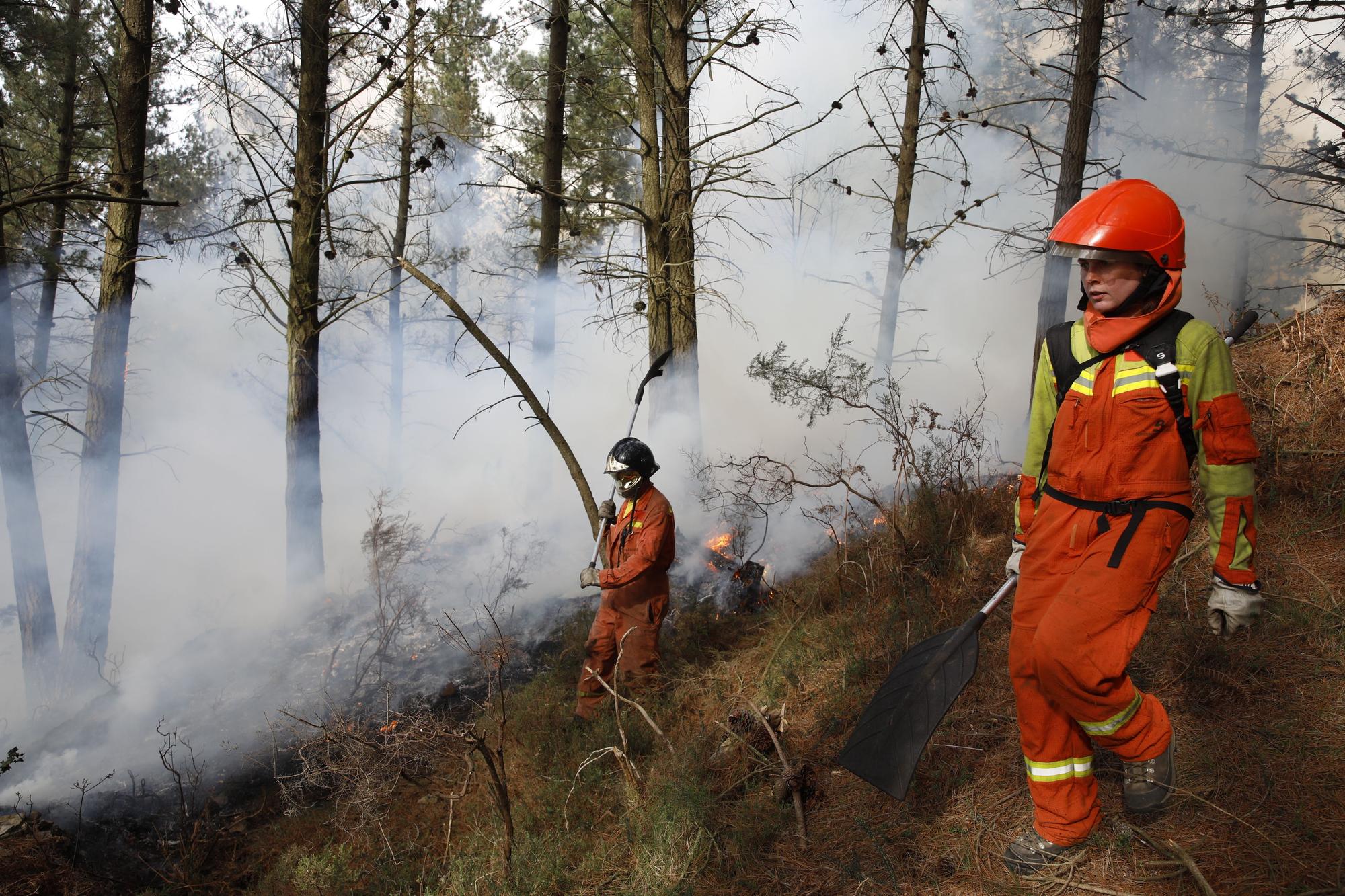 La lucha contra el fuego en el incendio entre Nava y Piloña