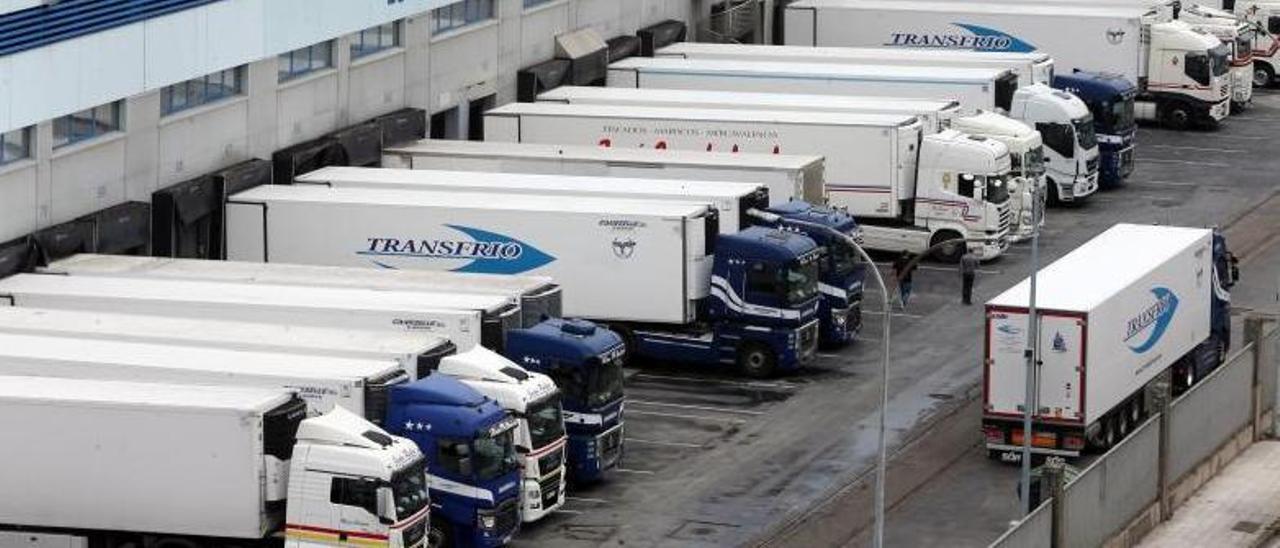 Camiones en la lonja del puerto de Vigo.