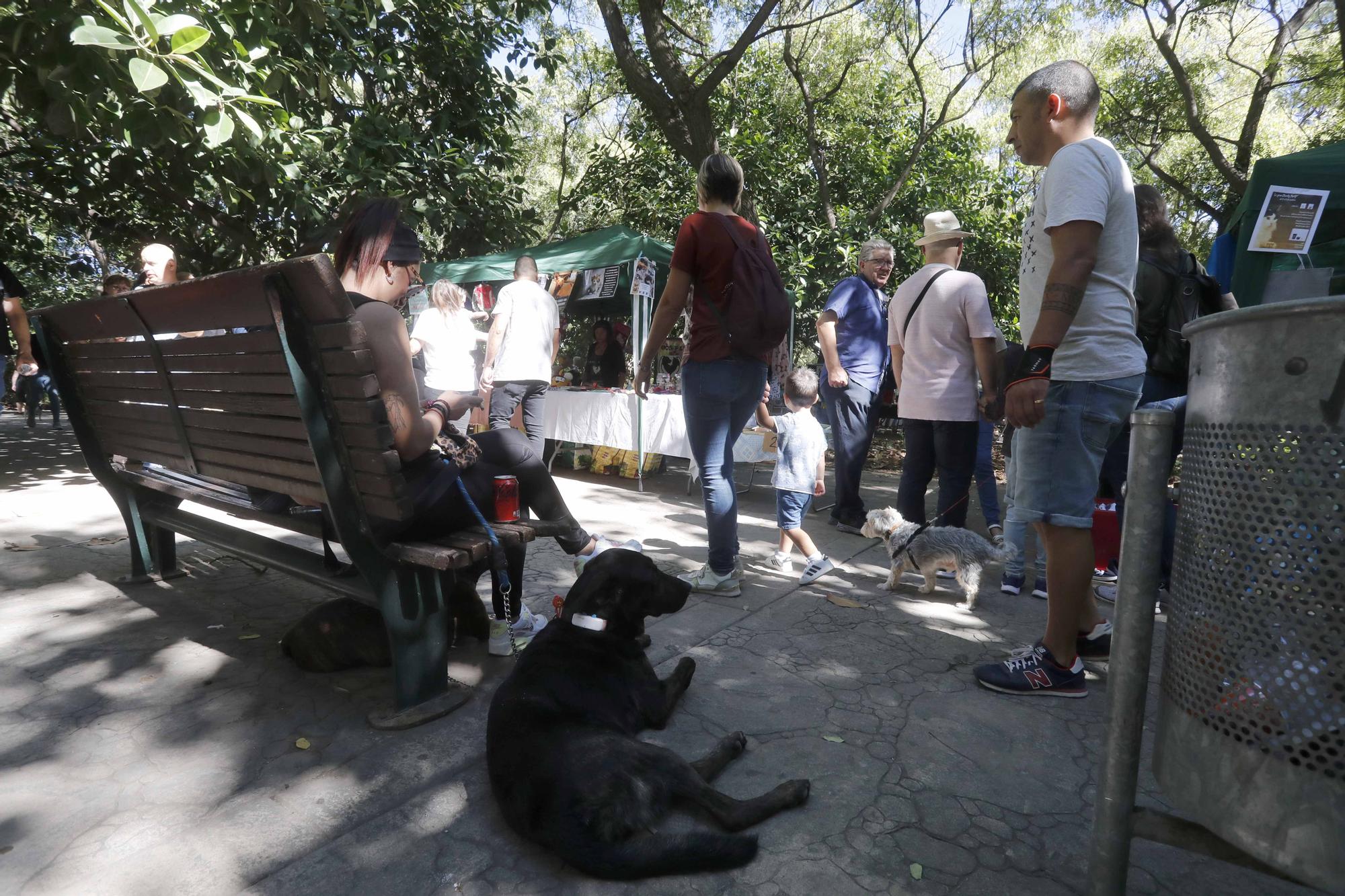 La Feria Animalista de València, en imágenes