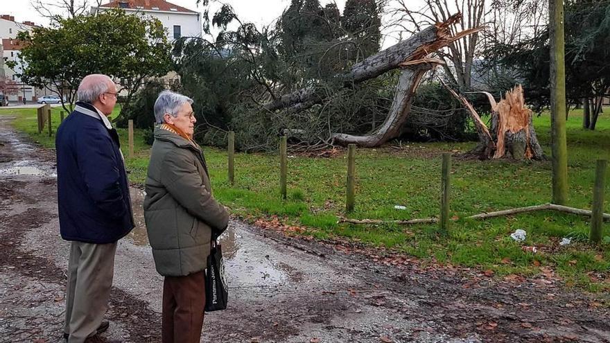 Jesús Otero y Coral Patallo observan el árbol caído en la Villa.