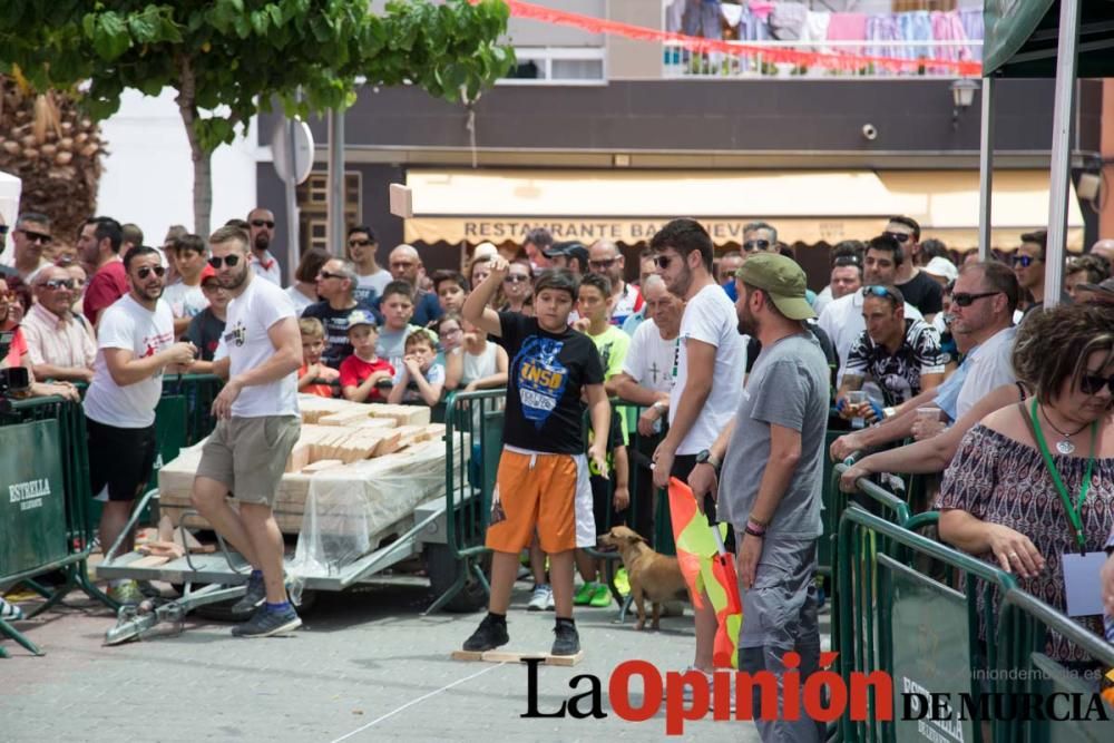 Campeonato del mundo de lanzamiento de 'Ladrillo d