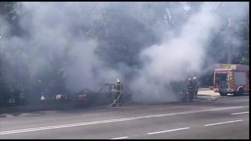 Un coche se incendia en el Paseo del Parque