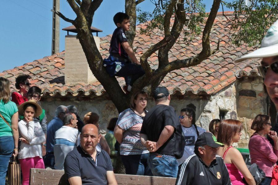 Romería de Valderrey en Zamora