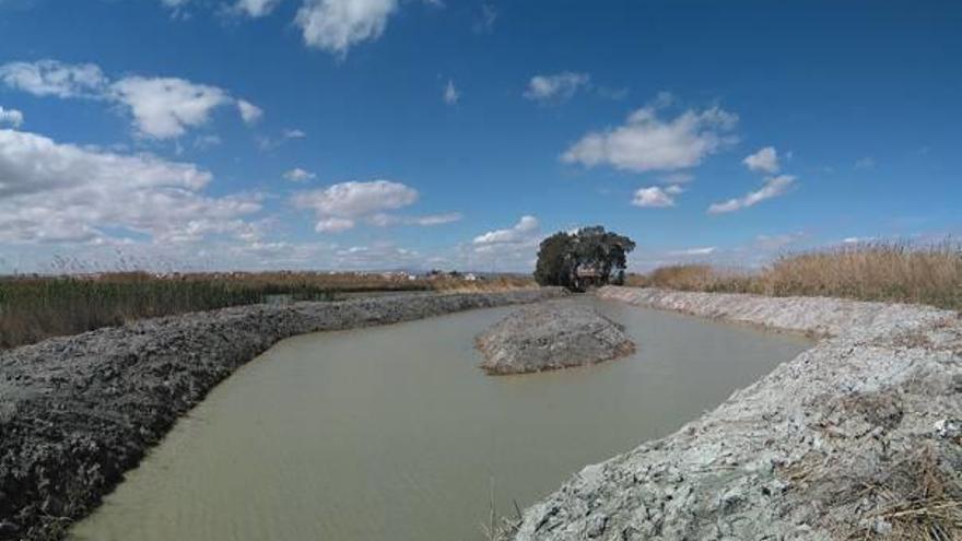 La laguna artificial creada por la Comunidad de Pescadores de El Palmar en la Sequiota.